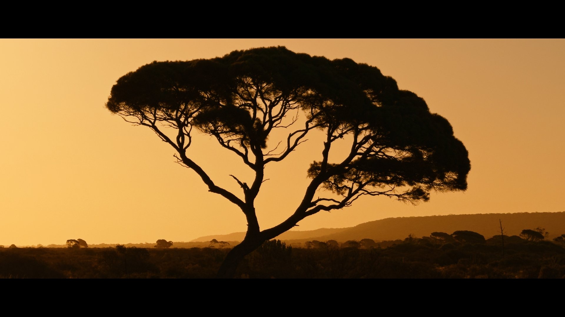 09c307ac655d45edd547ef87bd7cbb22