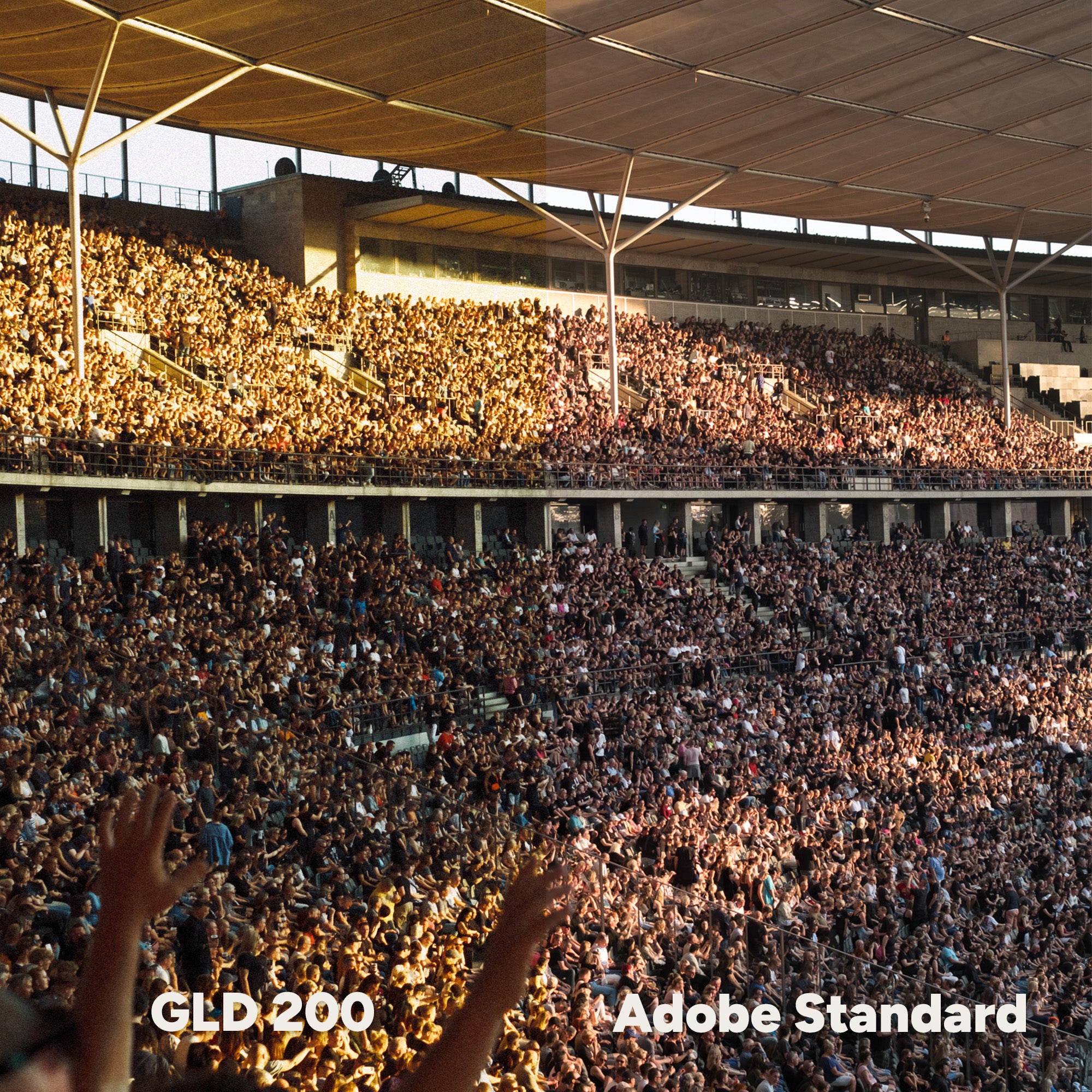 1490cbeb45f894de10619ef1ec611c1d