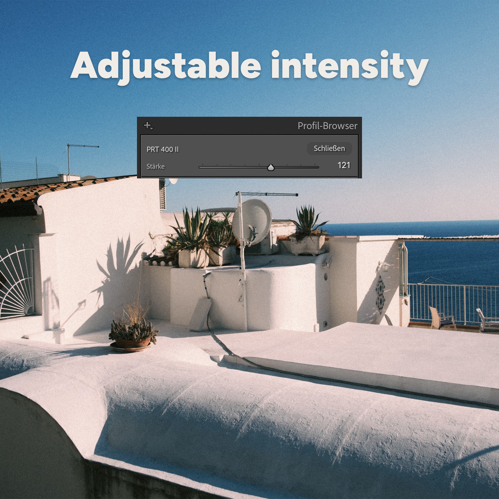 1697877a463d033e7f938514f6a8c8e1