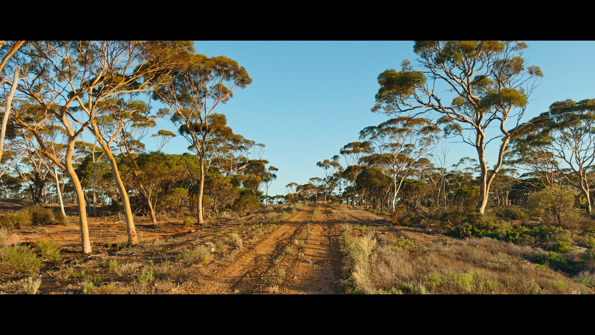 24bea0cc8b5d348cd828c0aae530307f