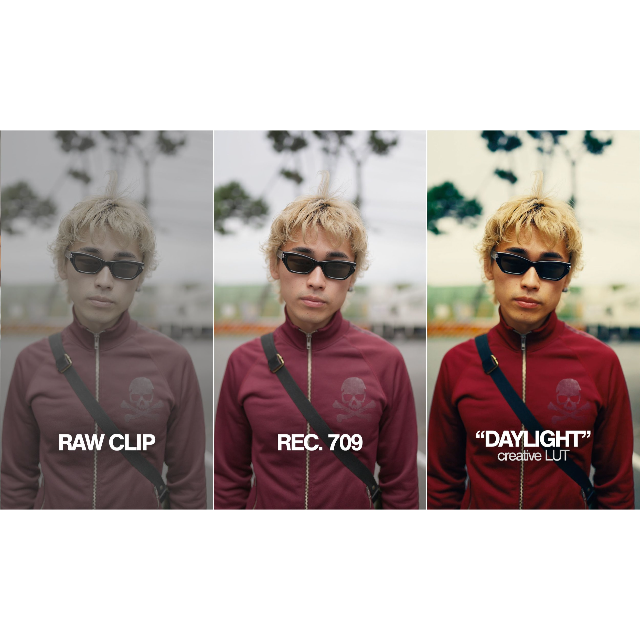 2edfb221ea479bb7667d8d7aff4ef40a-1