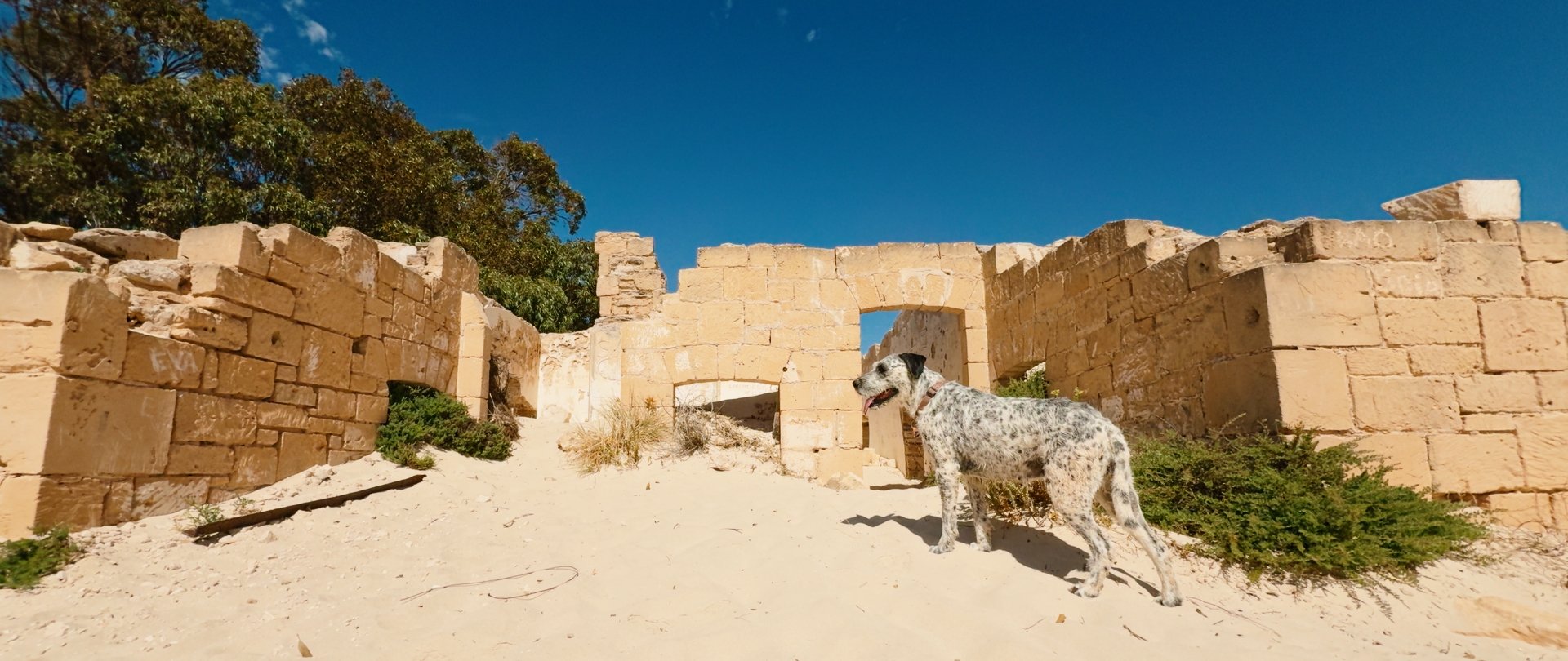 4fcfff0c024f91d3e4ad865e3a3264fe