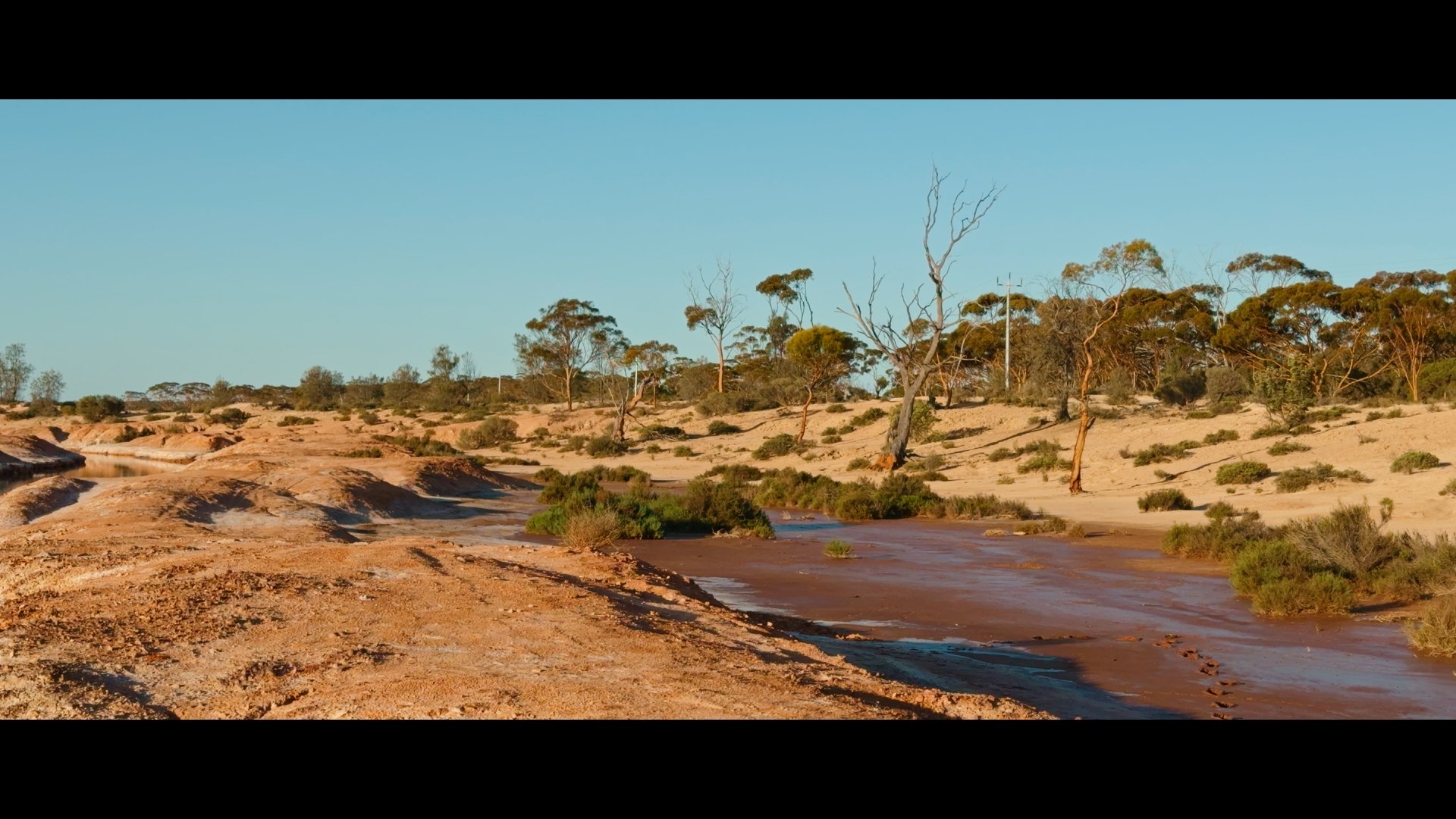 780fd667ffcf9d2175174411101cd5bd