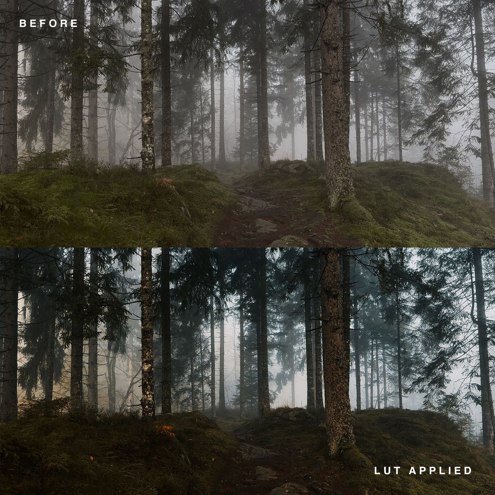 a07734a6a83c00b a07734a6a83c00b