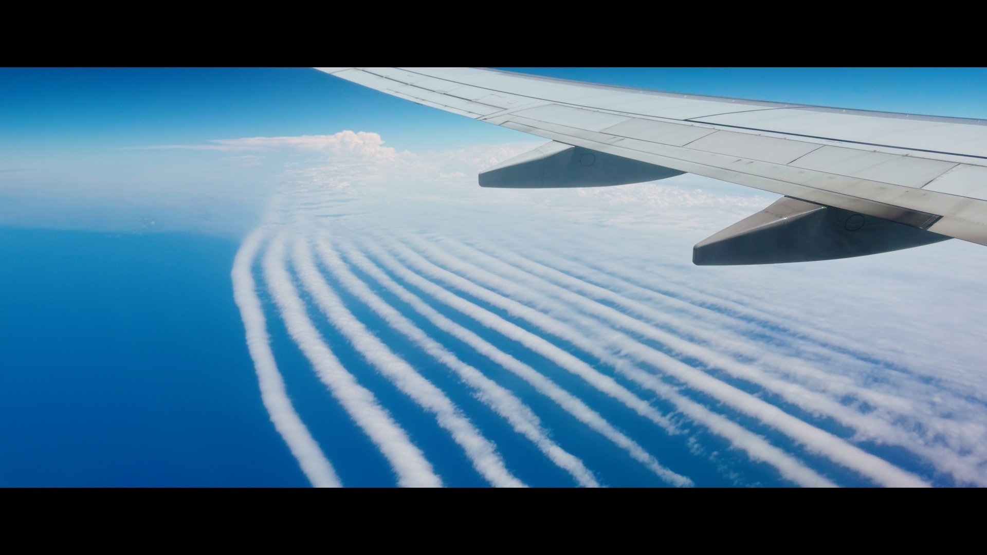 bc4f8840ccf89f74b71228a65308f628