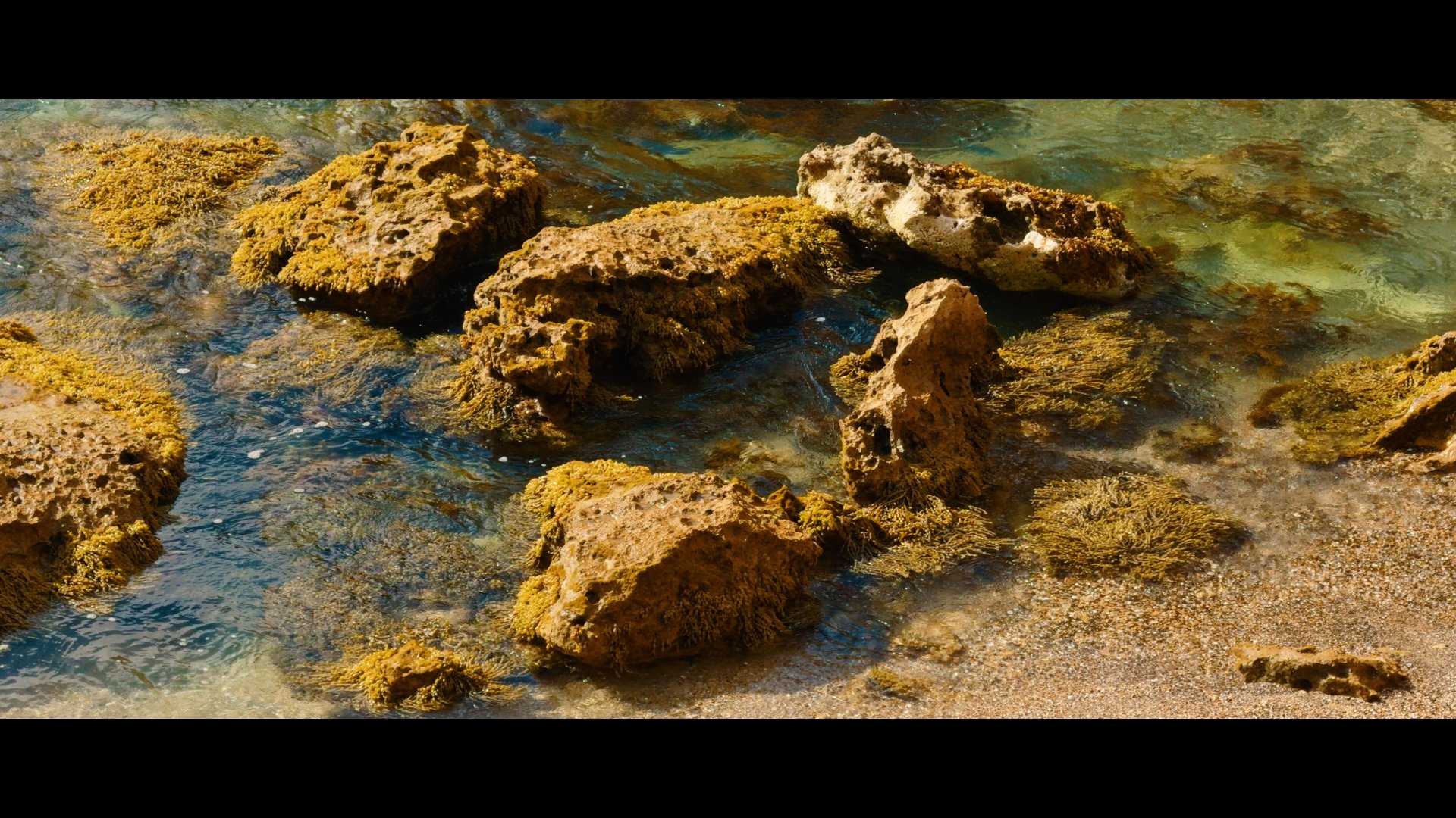 c9f7e4f7e59232f0c99ed924406a0718