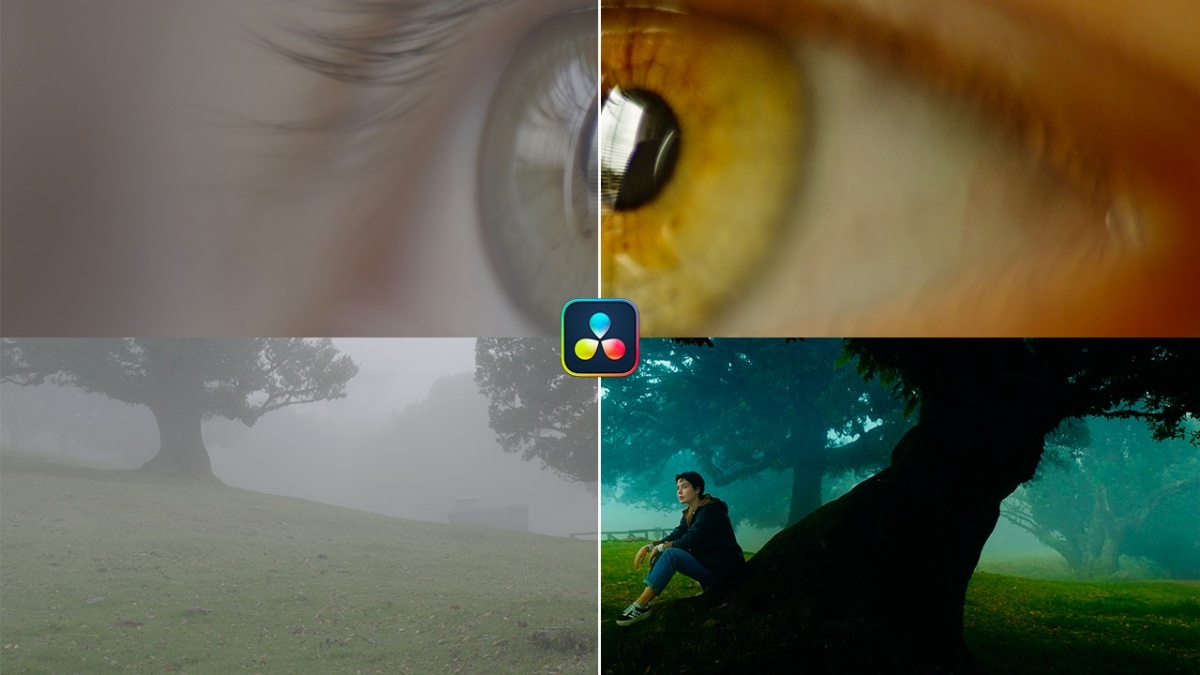 fd0fe41e605b54c67d929c0b3869cc5f