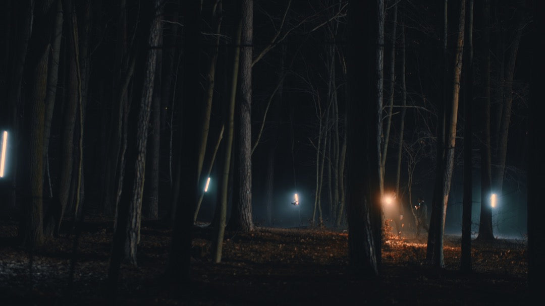 f3ccdd27d2000e3f9255a7e3e2c48800-6